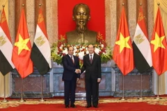 (Ảnh: Nhan Sáng/TTXVN)