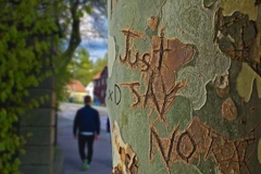 Ảnh minh họa. (Nguồn: Lifehack)