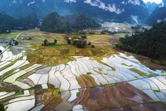 (Ảnh: Trọng Đạt/TTXVN)