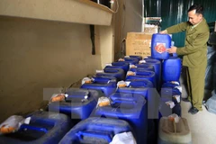 Ảnh minh họa. (Nguồn: TTXVN)