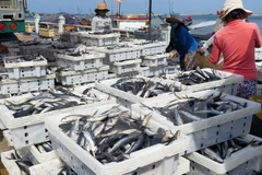 (Ảnh minh họa: Thế Lập/TTXVN)