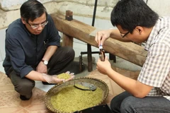 Kiểm tra sản phẩm cốm tại một hộ sản xuất Cốm Vòng. (Ảnh minh họa: Dương Ngọc/TTXVN)