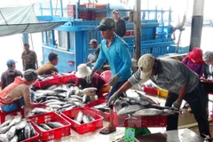 Thu mua cá tại cảng. (Ảnh minh họa: Nguyên Lý/TTXVN)