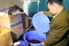 (Ảnh minh họa: Trần Việt/TTXVN)