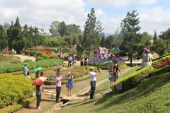 Du khách vui chơi tại vườn hoa thành phố Đà Lạt. (Ảnh: Phạm Kha/TTXVN)