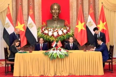 Chủ tịch nước Trần Đại Quang và Tổng thống Ai Cập Abdel Fattah el-Sisi chứng kiến Lễ ký kết các văn kiện hợp tác giữa hai nước. (Ảnh: Nhan Sáng/TTXVN)