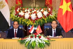 Chủ tịch nước Trần Đại Quang và Tổng thống Ai Cập Abdel Fattah el-Sisi chủ trì họp báo, thông báo kết quả hội đàm. (Ảnh: Nhan Sáng/TTXVN)