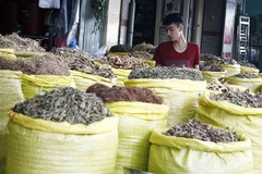 Tuyến phố Đông y - điểm đến thu hút du khách tại TP Hồ Chí Minh