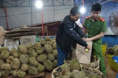 Cơ quan chức năng tiến hành niêm phong và xử lý số sầu riêng bị tẩm hóa chất theo quy định của pháp luật. (Ảnh: Dư Toán/TTXVN)
