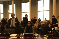 Đại sứ Ngô Thị Hòa, Đại diện Thường trực Việt Nam tại OPCW tham dự phiên họp của Hội đồng Chấp hành OPCW tháng 3/2017. (Nguồn: Đại sứ quán Việt Nam tại Hà Lan)