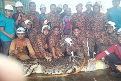 (Nguồn: New Straits Times)