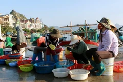 Thu mua hải sản ở cảng Cái Rồng. (Ảnh: Văn Đức/TTXVN)