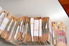 Ảnh minh họa. (Nguồn: TTXVN)