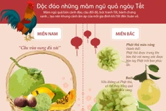 [Infographics] Mâm ngũ quả trong ngày Tết cổ truyền của người Việt