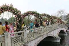 Khách tham quan lễ hội. (Ảnh: Lê Minh Sơn/Vietnam+)