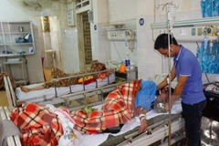 Ảnh minh họa. (Nguồn: TTXVN)