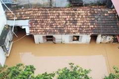 (Ảnh: Nguyễn Cường/TTXVN)