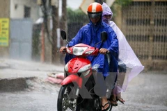 (Ảnh minh họa. Nguồn: TTXVN)