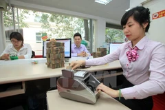  (Ảnh minh họa: Trần Việt/TTXVN)