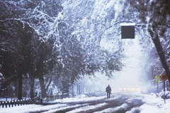 Tuyết phủ dày đặc tại Santiago, Chile ngày 15/7. (Nguồn: EPA/TTXVN)