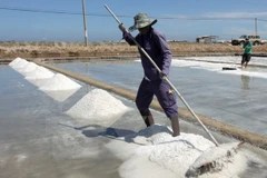 Ảnh minh họa. (Nguồn: TTXVN)