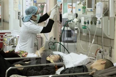 Ảnh minh họa. (Nguồn: TTXVN)