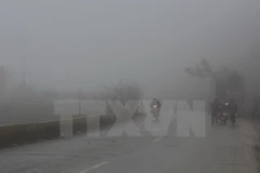 Ảnh minh họa. (Nguồn: TTXVN)