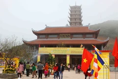 Ảnh minh họa. (Nguồn: TTXVN)