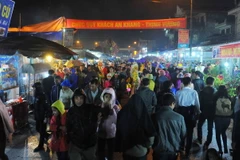 (Ảnh: Minh Đức/TTXVN)