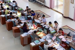 Ảnh minh họa. (Nguồn: TTXVN)