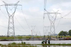 Ảnh minh họa. (Nguồn: TTXVN)