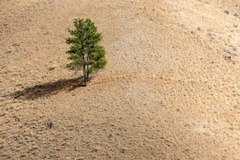 (Nguồn: National Geographic)