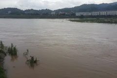 Lúc 13 giờ ngày 25/8, Trạm thủy văn Lào Cai ghi nhận được mực nước sông Hồng lên tới 79,66m (dưới báo động 1 là 0,34m). (Ảnh: Hương Thu/TTXVN)