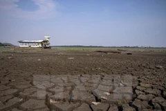 Chuyên gia Mỹ "hiến kế" giảm tác hại của biến đổi khí hậu ở ĐBSCL