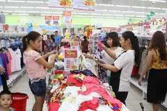 Ảnh minh họa. (Nguồn: TTXVN)