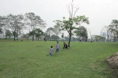 Ảnh minh họa. (Nguồn: Vietnam+)