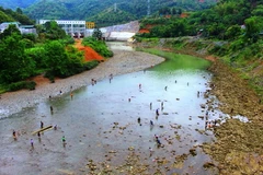 (Ảnh: Hùng Võ/Vietnam+)