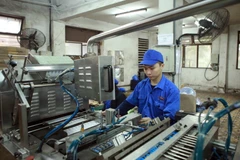 Sản xuất pin tại Công ty Cổ phần Pin Hà Nội (Tập đoàn Hóa chất Việt Nam). (Ảnh: Hoàng Hùng/TTXVN)