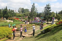 Du khách vui chơi tại vườn hoa thành phố Đà Lạt. (Ảnh: Phạm Kha/TTXVN)