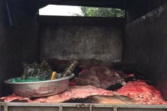 ​Ảnh minh họa. (Nguồn: TTXVN)