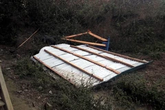 Ảnh minh họa. (Nguồn: TTXVN)