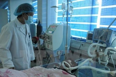 Ảnh minh họa. (Nguồn: TTXVN)