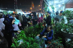 Du khách chọn mua cây cảnh tại chợ Viềng (Nam Định) trong đêm 3, rạng sáng 4/2. (Ảnh: Minh Đức/TTXVN)