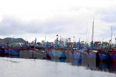 Tàu thuyền vào nơi tránh trú bão. (Ảnh minh họa. Nguồn: TTXVN)
