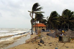 (Ảnh minh họa: Đỗ Trưởng/TTXVN) 