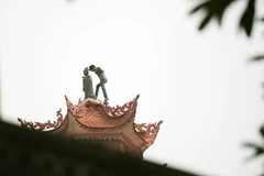 Nam thanh niên có dấu hiệu sử dụng ma túy đá leo lên ngọn bảo tháp ở chùa Cót hoành hành, đập phá. (Ảnh: Cộng tác viên)