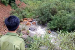 Hệ lụy nào sau vụ rò rỉ hóa chất xuống suối Màn? (Ảnh: Võ Phương/Vietnam+)