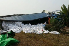 Xe container chở 70 tấn gạo từ Móng Cái bị lật nhào ở Sóc Sơn