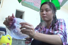 Để trang trải cho chi phí sinh hoạt trong thời gian dự thi, không dám làm phiền chị gái và bố vốn đã quá vất vả, Thúy đi xin rửa bát thuê tại các quán bia, nhà hàng để kiếm 30 nghìn/giờ. (Ảnh: Tùng Lâm/Vietnam+)