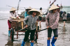 Niềm vui của những người phụ nữ sau một chuyến đi biển bội thu. (Ảnh: Thanh Dung/Vietnam+)